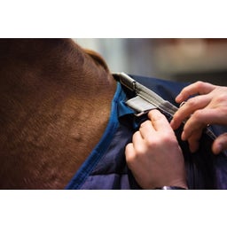 Doublure Horseware Liner 100g