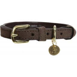 Kentucky Dogwear Collar para Perro 