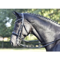 BUSSE Brida LUXURY Negra