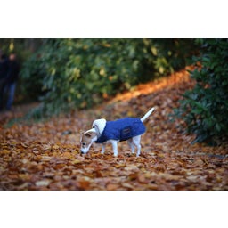 Kentucky Dogwear Abrigo para Perro - Azul Marino