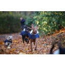 Kentucky Dogwear Abrigo para Perro - Azul Marino