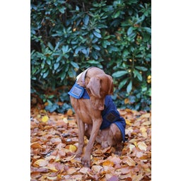 Kentucky Dogwear Abrigo para Perro - Azul Marino