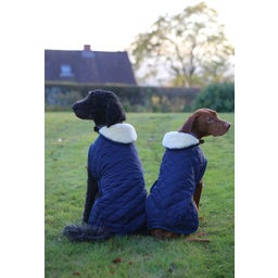 Kentucky Dogwear Abrigo para Perro - Azul Marino