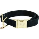 Kentucky Dogwear Hundehalsband 