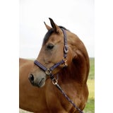 GoLeyGo 2.0 Halfter blau/caramel
