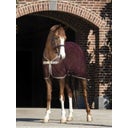 Horseware Ireland Amigo Net Cooler fügebarna