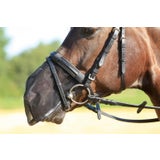 BUSSE Protector Nasal FLY PROTECTOR