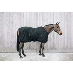 Kentucky Horsewear Cotton Sheet black
