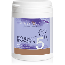 Dr. Weyrauch No. 5 Spring Awakening - For Dogs