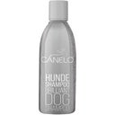 Canelo Brilliant Shampoo