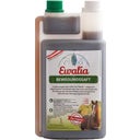 Movement Juice, 1 l