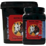 topteam top Biotin + Zink