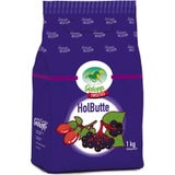 Galopp Sweeties HolButte