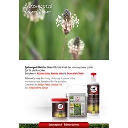 leovet Élixir Bronches - 1.000 ml