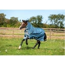 Horseware Ireland Amigo AmEco Bravo 12 Plus 100 g
