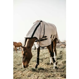 Kentucky Horsewear Mesh Fliegendecke beige