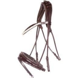 Kavalkade Bridle 