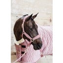 Kentucky Horsewear Show Rug 