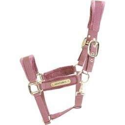 Kentucky Horsewear Velvet Halfter old rose