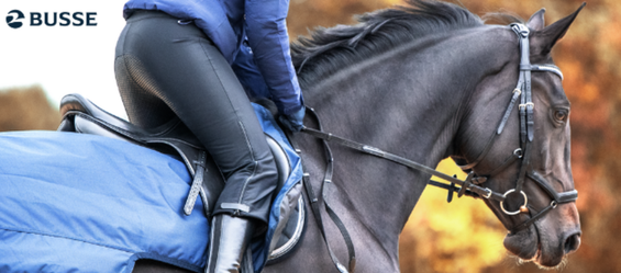 Winter Jodhpurs - Two Models at a Glance
