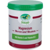 Galopp Magnesio