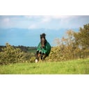 Horseware Ireland Rambo Original Turnout 100g vert/rouge