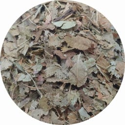 NATUSAT Foglie di Mirtillo Nero - 500 g