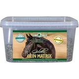 Starhorse Golden Lein Matrix