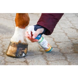 Stiefel Hoefverharder - 200 ml