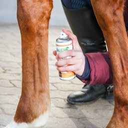Stiefel Aluminium Spray - 200 ml