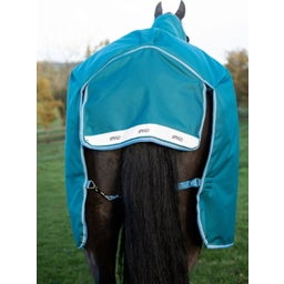 Amigo Bravo 12 Plus 100 g - Storm Green/Turquoise Aqua