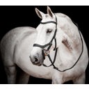 Horseware Ireland Bridon Micklem 2 Competition - noir