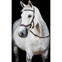 Horseware Ireland Micklem 2 Multi Bridle, dark havana