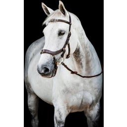 Horseware Ireland Micklem 2 Multi Bridle, dark havana