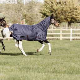 Turnout Rug 