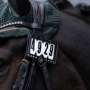 Imperial Riding Номер за глава IRHShow and Glow