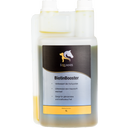 Equanis BiotinBooster - 1 L