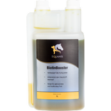 Equanis BiotinBooster