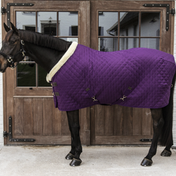 Kentucky Horsewear Versenytakaró, royal purple - 155 cm