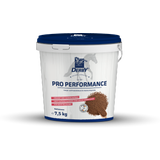 DERBY Pro Performance