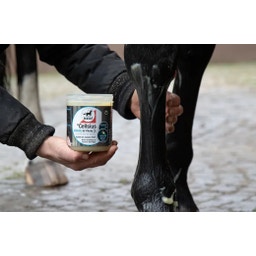 leovet °CELLSIUS Cooling Gel for Horses - 600 ml