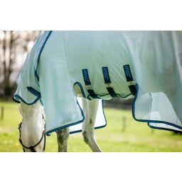Amigo Bug Buster Fly Sheet, Azure Blue/Navy & Electric Blue - 160 cm