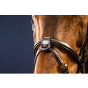 Sperriem 1/2'' met 2 Afneembare Bevestigingslussen, Warmbloed D-Collectie - Bruin