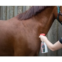 leovet Power Phaser - Pulvérisateur, 550 ml