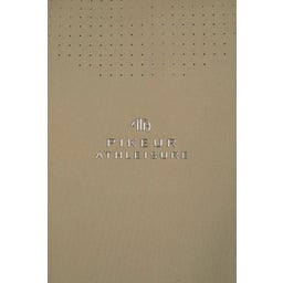 PIKEUR T-Shirt FUNCTION SHIRT, light moos - 34