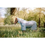 Horseware Ireland AmEco Bug Buster Plus, Silver/Sky Blue