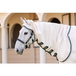 Rambo Hoody XL, Chalk /Hunter Green & Silver - 145 cm