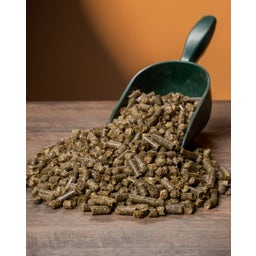 ALL-WIN Horse Grascobs Pro Natura - 20 kg