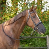 Brands of Q Fly Nose Protector, Black