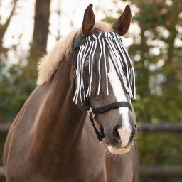 Brands of Q Frange Anti-Mosche, Zebra